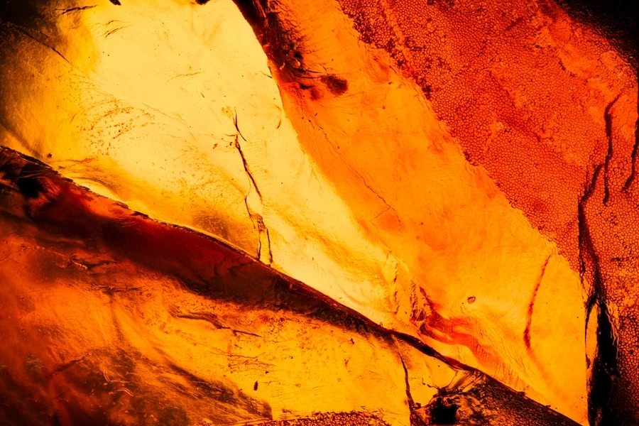 A close-up shot of beautiful Amber